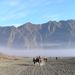 2005_indonesiatrip_164_2